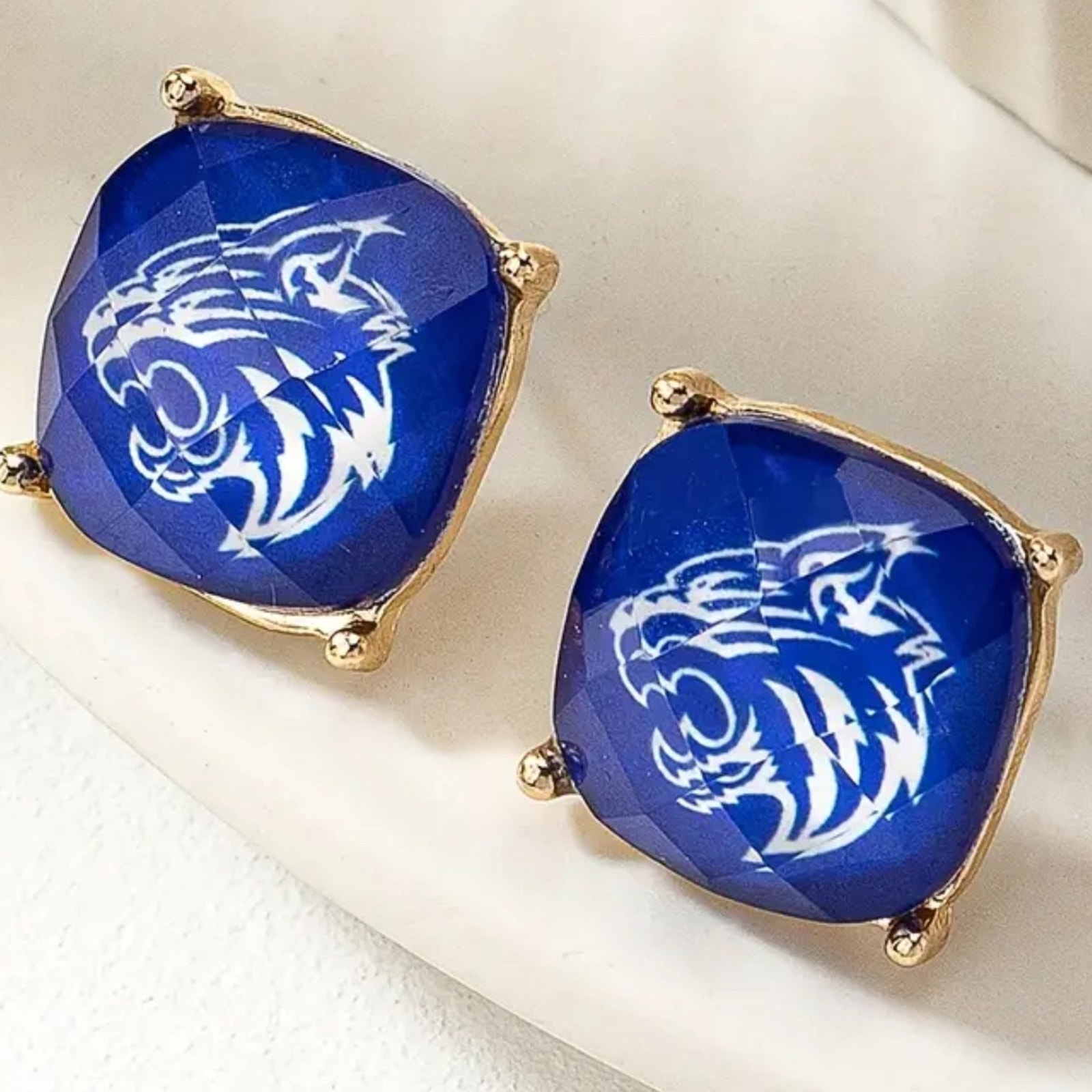 Crystal Stud Earrings Kentucky Wildcats 15$